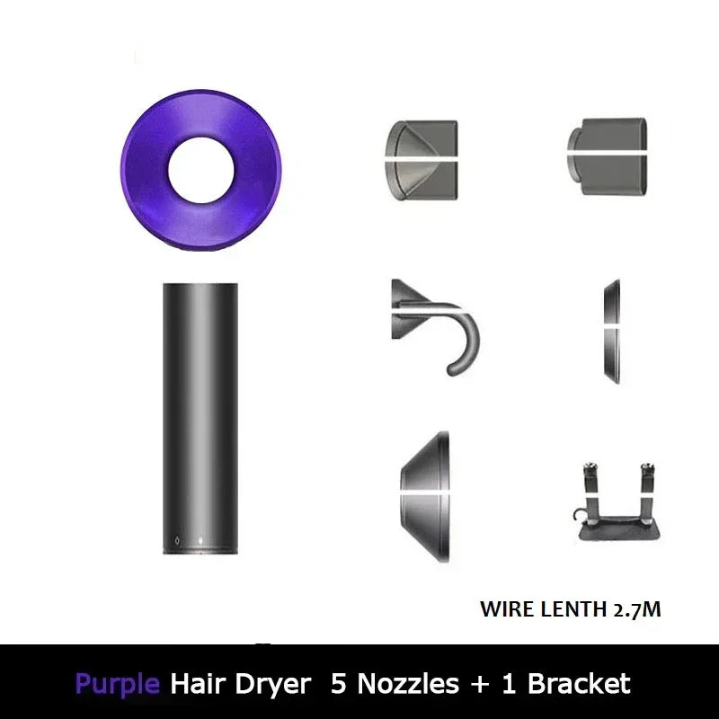 Professional Ionic Hair Dryer