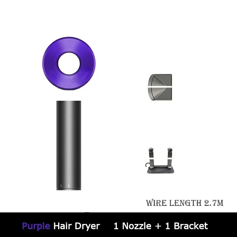 Professional Ionic Hair Dryer